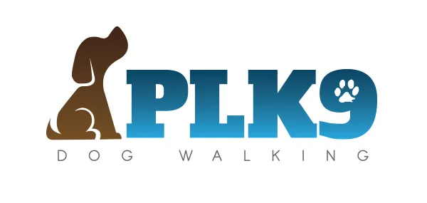 PLK9 logo design